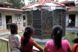 Landmine display