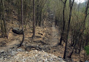 Rough road