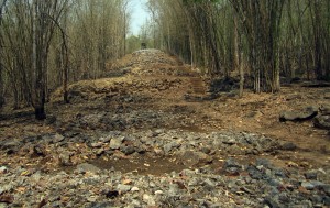 Seven Metre Embankment