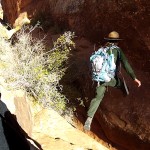 Luckily, our leaping ranger...