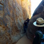 ... squishing through narrow slots...